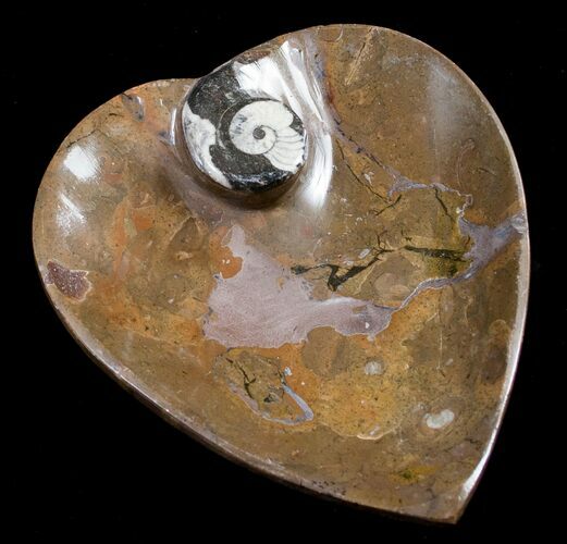 Heart Shaped Fossil Goniatite Dish #8858